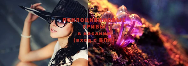 дживик Беломорск