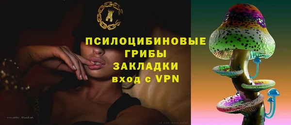 тгк Богданович