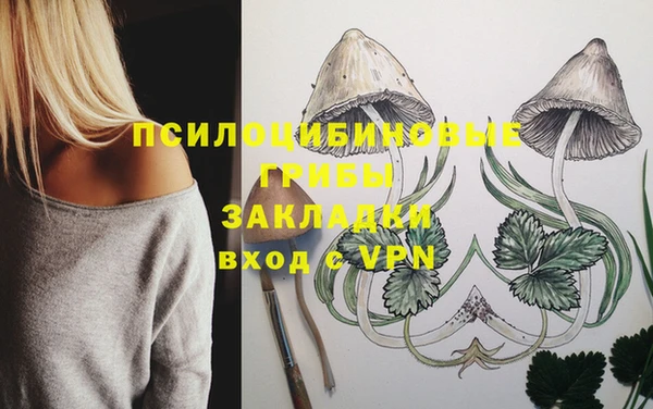 дживик Беломорск