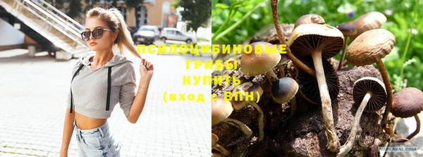 тгк Богданович